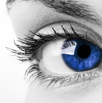 Foto: Auge / Bildnachweis: Fotolia